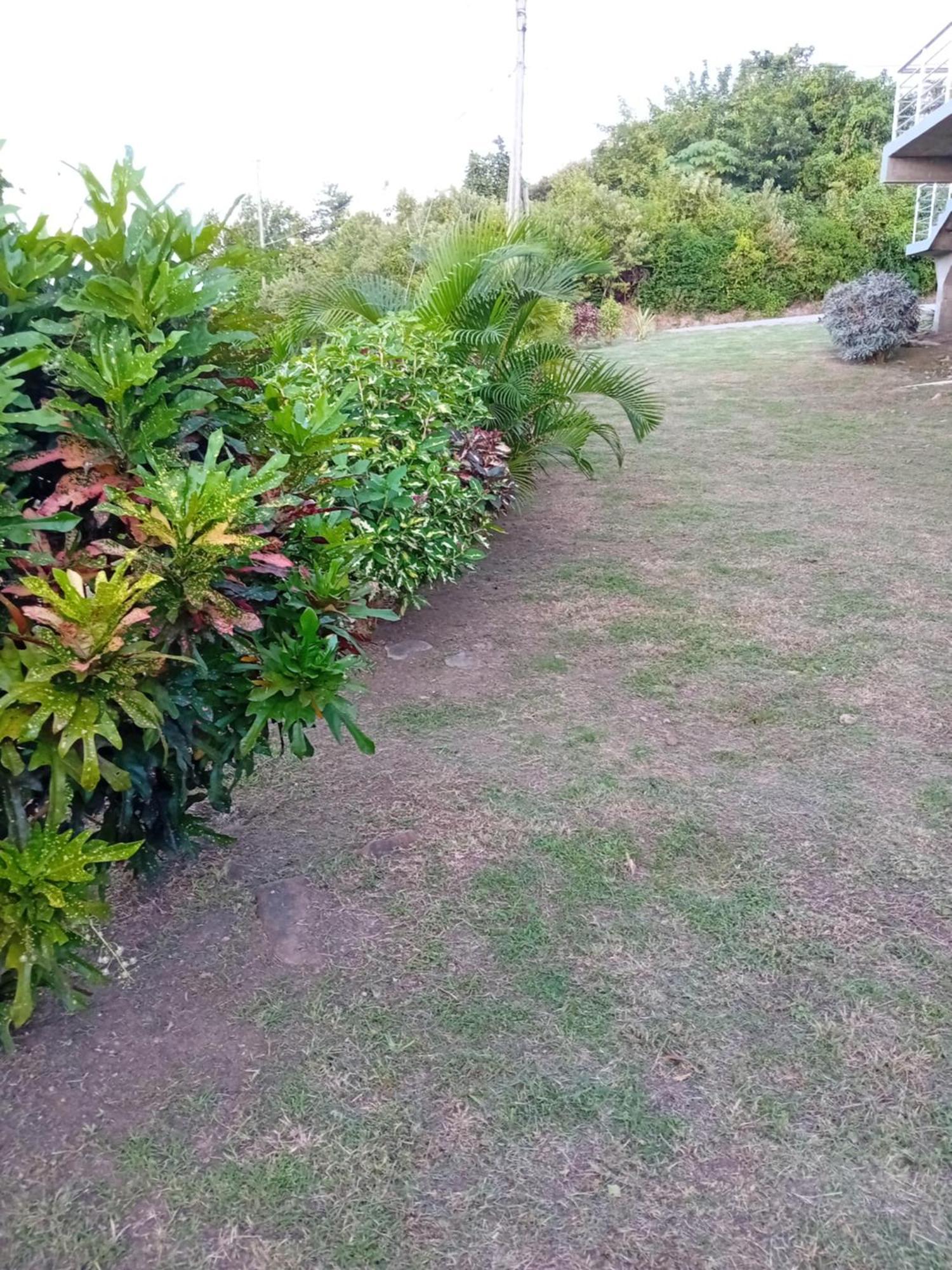 Serenity Seaview Suite Anse La Raye ภายนอก รูปภาพ